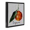 Stupell Industries Vintage Tangerine Fruit Framed Floater Canvas Wall Art Design by Regina Moore